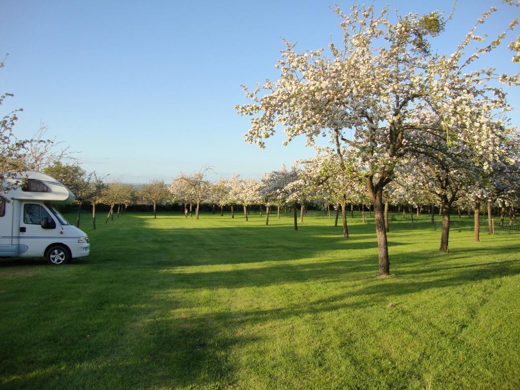 Orchard Farm Luxury Glamping And Campsite Glastonbury Buitenkant foto