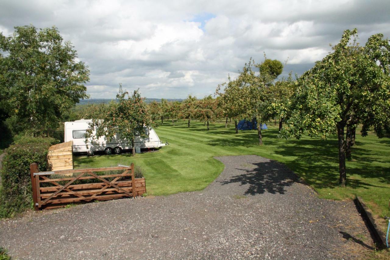 Orchard Farm Luxury Glamping And Campsite Glastonbury Buitenkant foto